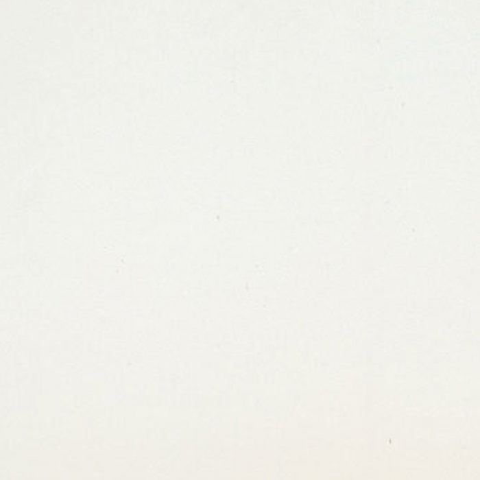 ДВПО  Белый (0101/10) 3,2*1700*2745