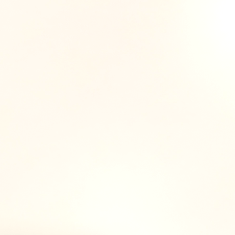 ЛДСП Белый 101/3341 16*2800*2070 гладкая(SM) ЛДСП Белый 101/3341 16*2800*2070 гладкая(SM)