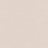 Панель глянец кремовый Р102/605 18*1220*2800 Kastamonu Панель глянец кремовый Р102/605 18*1220*2800 Kastamonu