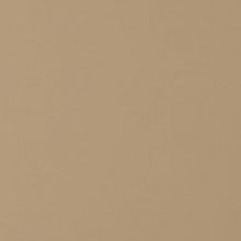 Кромка мат. вижен капучино P008/732/7498 22*1 ПВХ T1