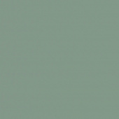 Кромка мат.  мята   P010/735 22*0, 8 ПВХ K без з. п. 