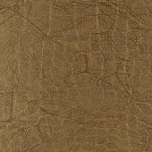 Кромка глянец крокодил зол. P216  22*1 ПВХ