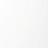 Панель глянец белый  Р100/601 18*1220*2800 Kastamonu б/уп