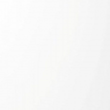 Панель глянец белый  Р100/601 16*1220*2800 Kastamonu