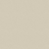 ЛХДФ  Крем (0522)  3,2*2800*2070 (лак)