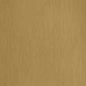 Кромка галактика инокс золотой P268 22*1 ПВХ